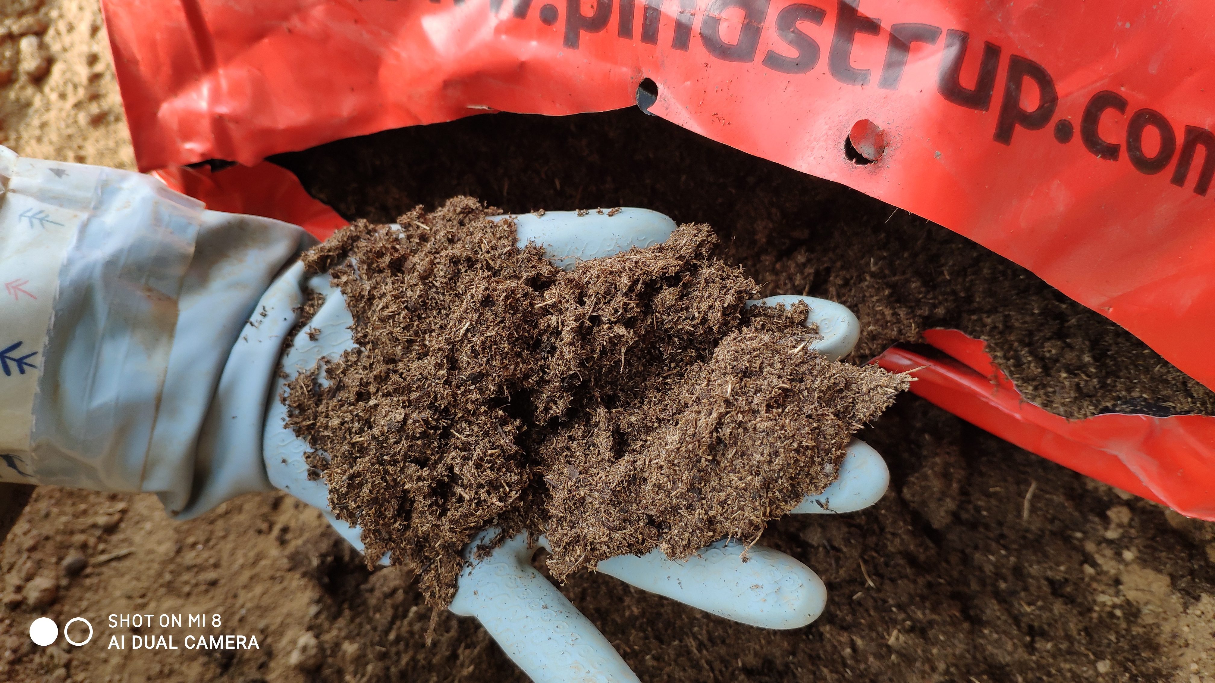 崂山水畔菜蔬鲜，黄石洞中书韵长