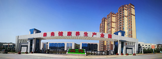 芒果原粉南瓜原粉椰浆粉、枣粉姜粉枸杞子粉,粉上21FOOD线上展