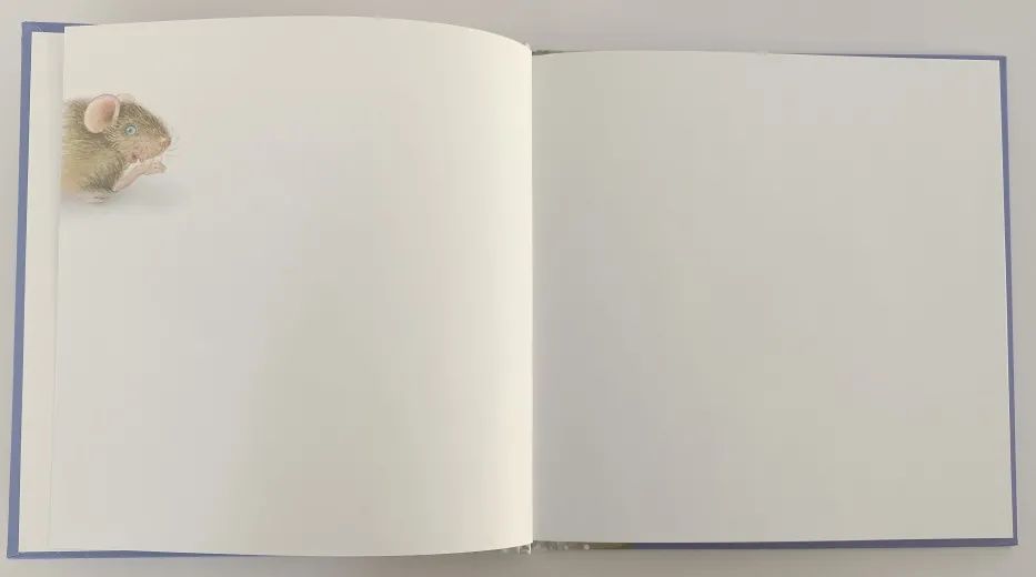 绘本3-6岁经典绘本米老鼠,适合小老鼠的绘本