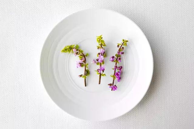 秀色可餐品赏美食,秀色可餐食色俱佳