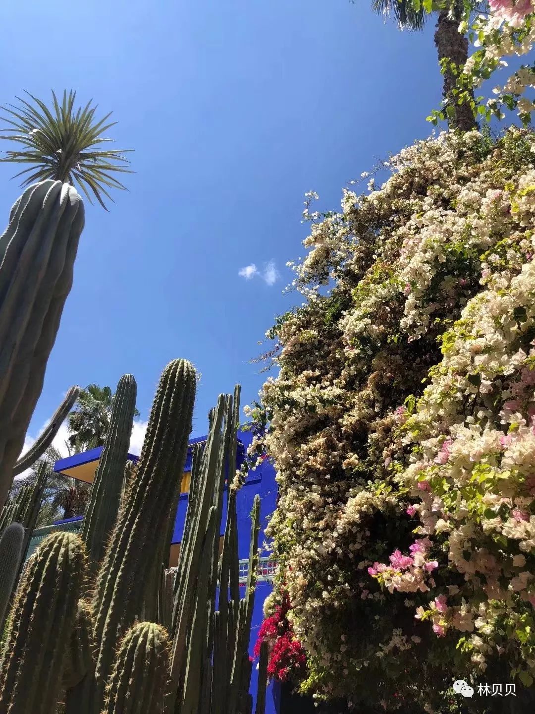 15天快速减肥10斤懒人,摩洛哥12天瘦5斤减肥成功案例