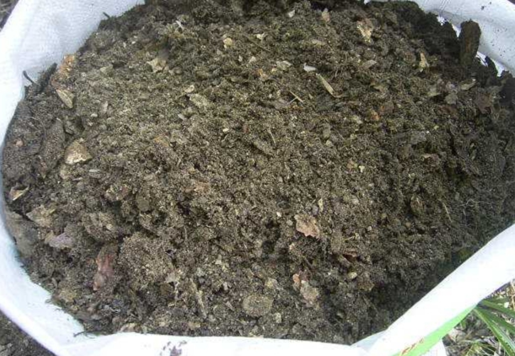 盆土浇水不积水的方法,土太硬了浇不透怎么办