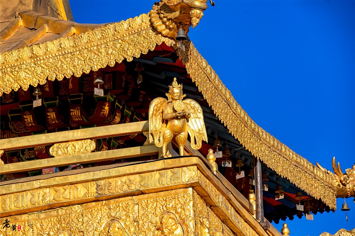 拥有千年历史的大昭寺，拉萨著名地标之一，有个美丽误会流传至今