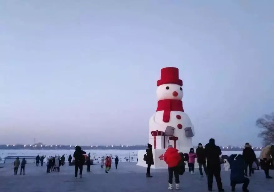 公园回应大妈路边卖雪,大妈卖雪5元一盆