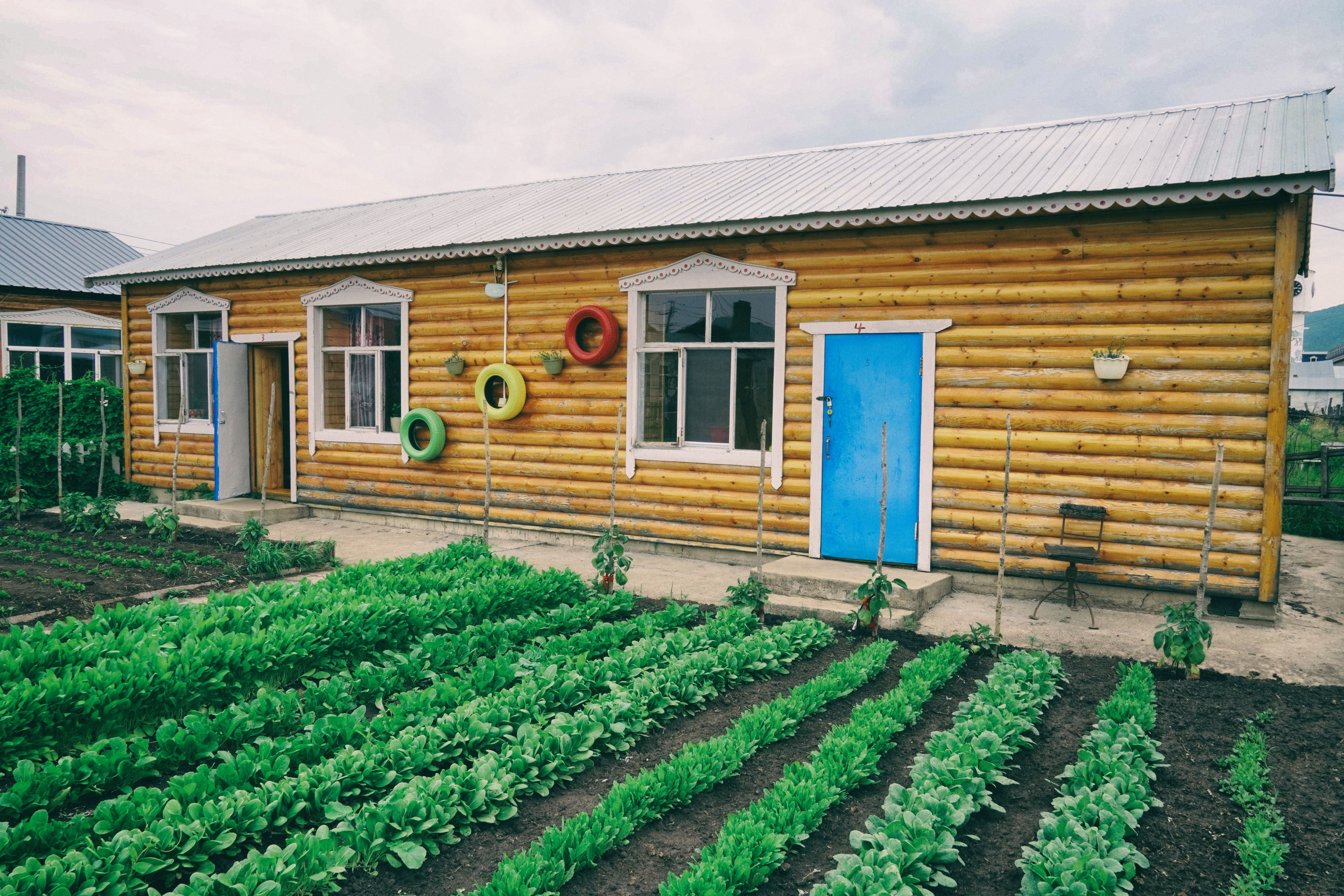 南方人自驾来东北是啥体验,15天一万公里的新疆感受