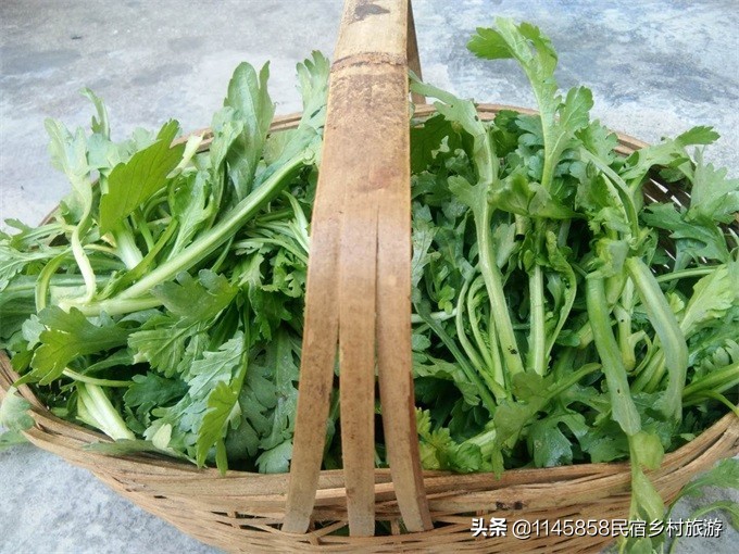 安徽省黟县宏村景区听雨楼客栈,宏村栖梧旅行精选徽派景观民宿