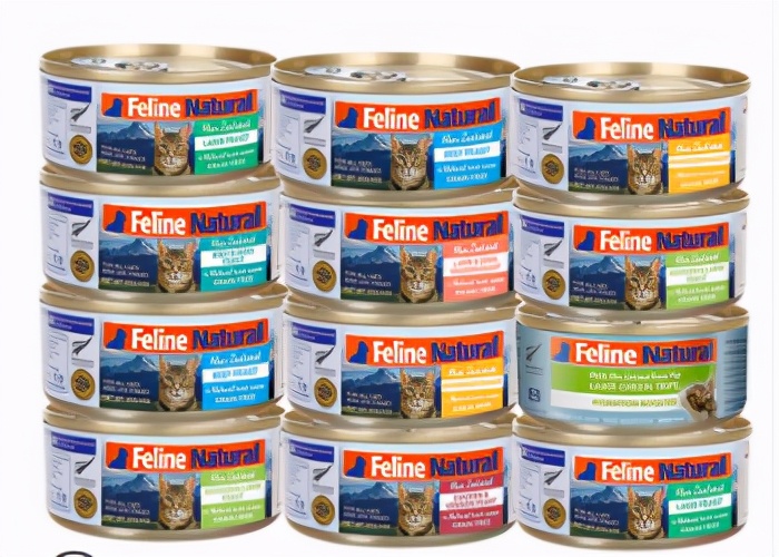 养肥猫的技术视频教程,新手养猫如何挑选主食罐