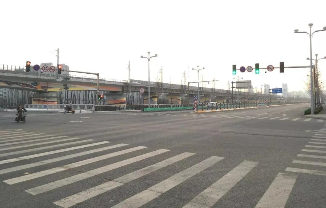 昨日珠玑少人识，今朝变身摇钱树！