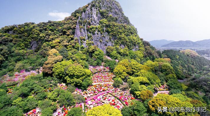 日本花海,日本30个最美花海