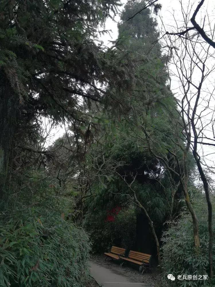 四川四大历史名山华蓥山,华蓥山名山