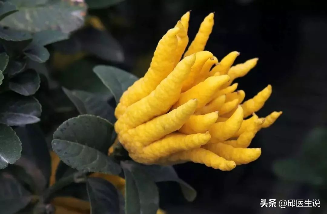 淡斑最好的食疗方子,中医淡斑食疗推荐