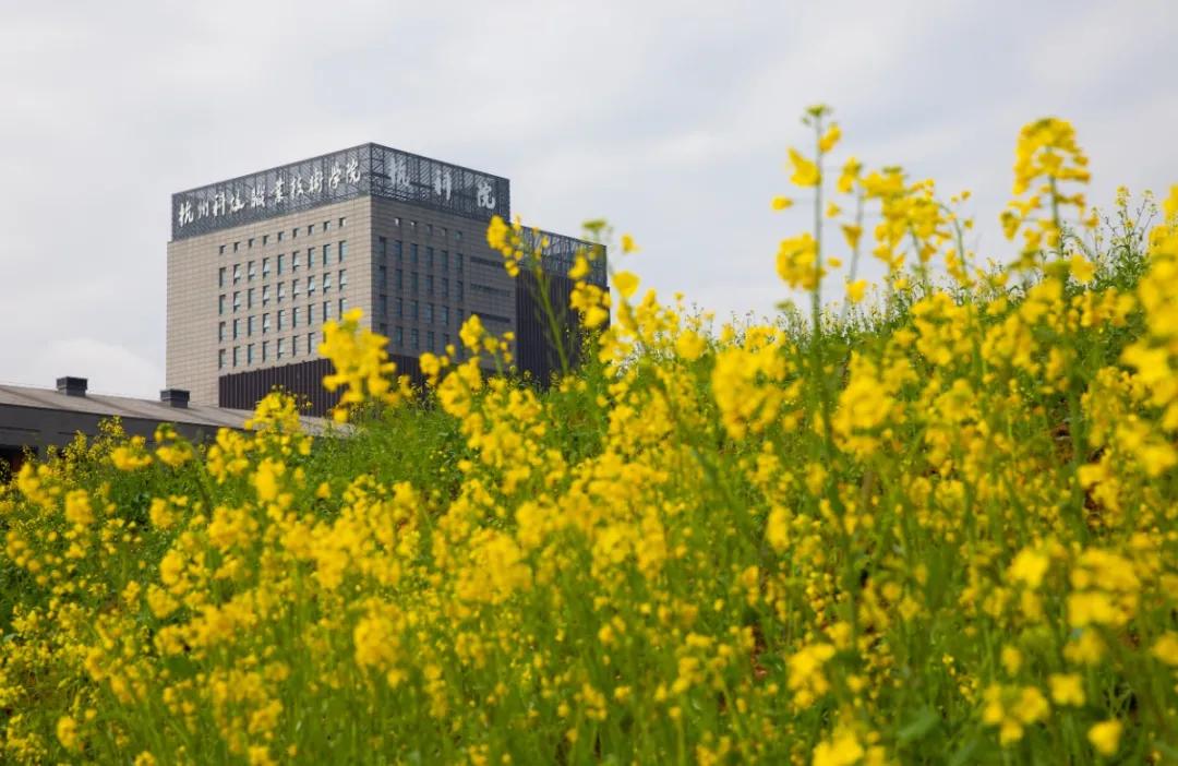 杭州美职学校风景,杭州美丽学校评选