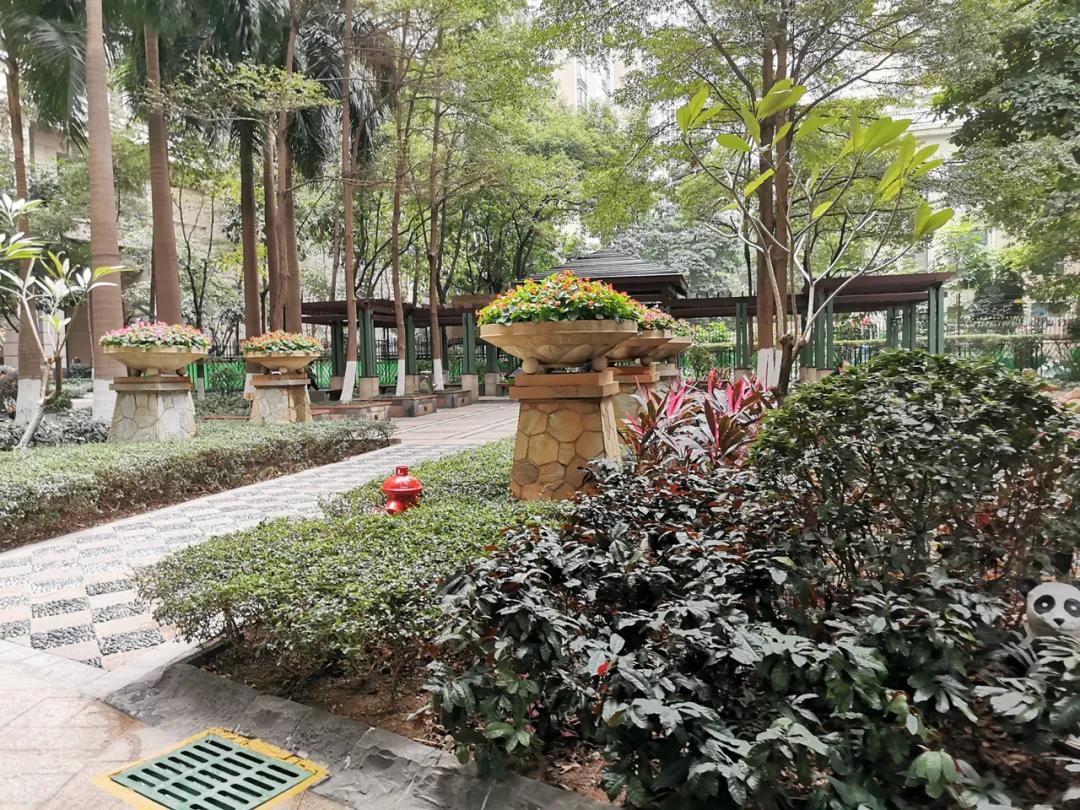 珠城楼评之「中海璟晖」：和花城湾师出同门，为何存在感低那么多