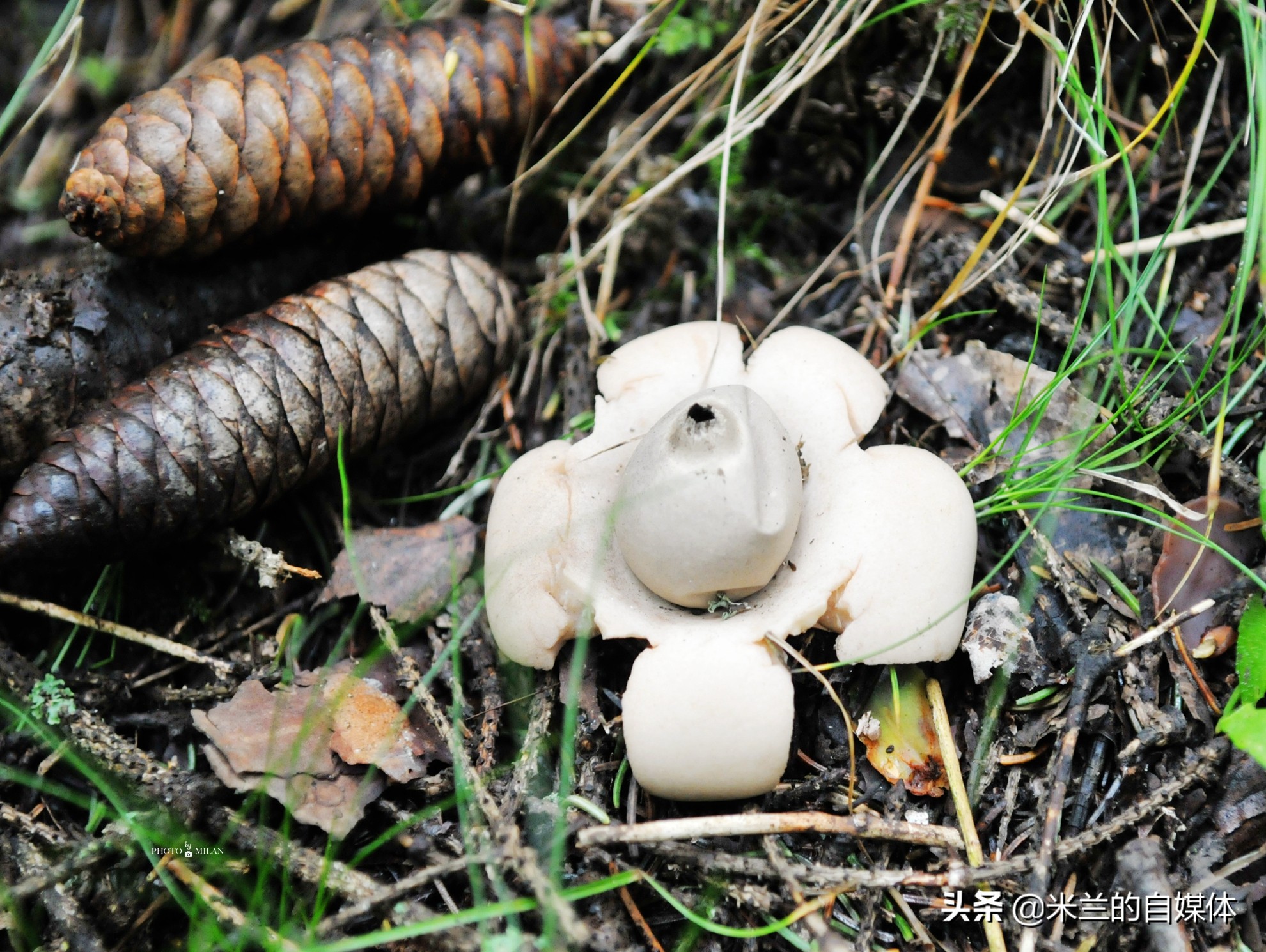 北京周边二日自驾游最佳路线图,北京周边自驾游两天一夜攻略草原