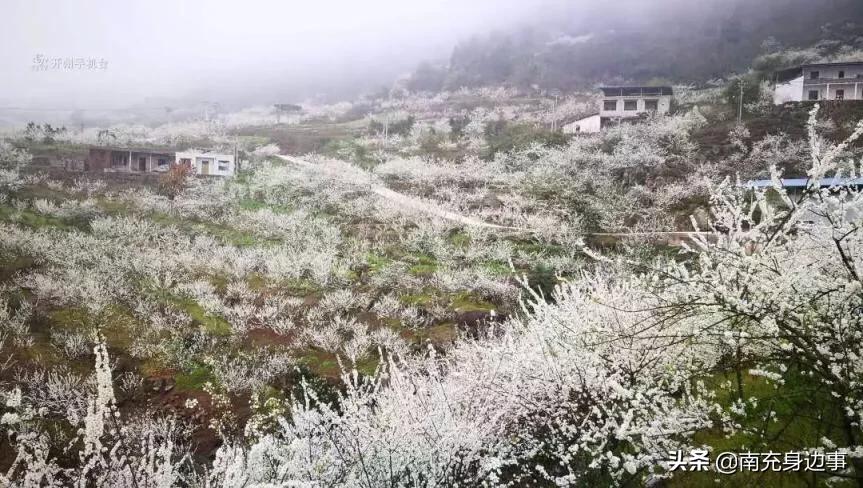 南充著名小镇,南充最美小镇