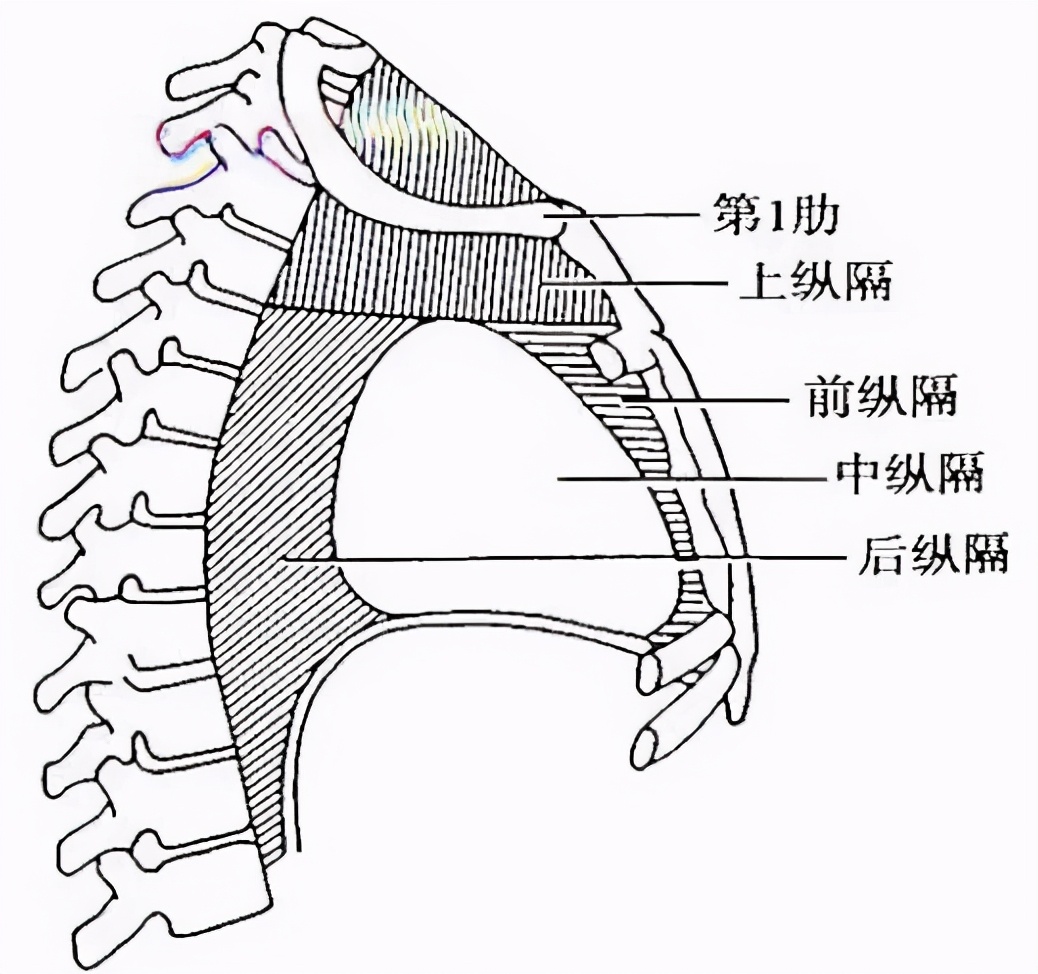 胸腔里待了5年的肿瘤，1小时摘除
