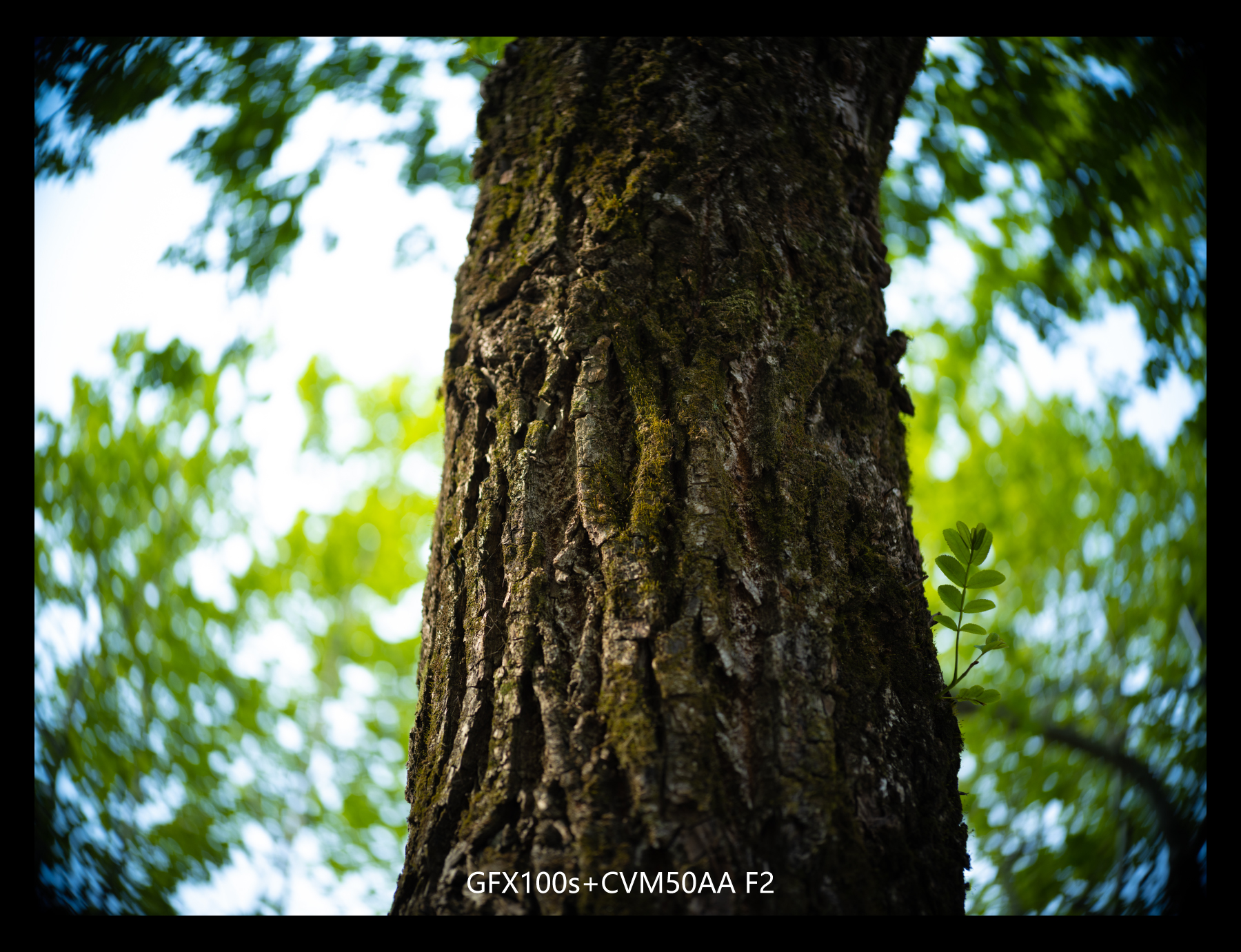 福伦达35mm1.5镜头好不好,福伦达35f2镜头评测