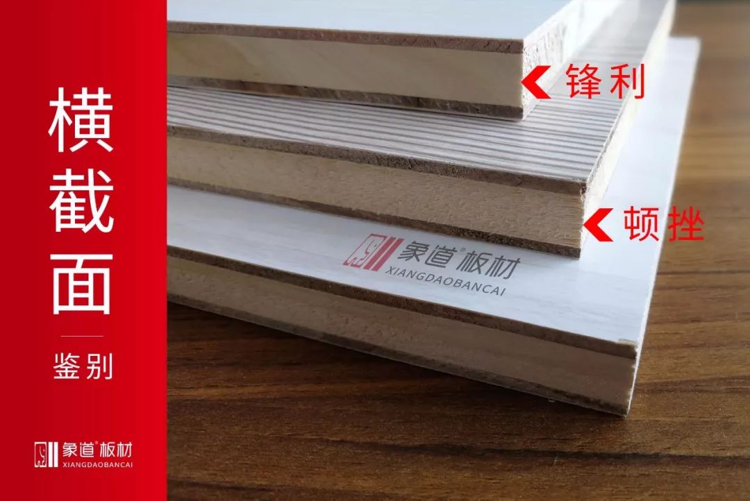 象道环保板材大全,象道板材