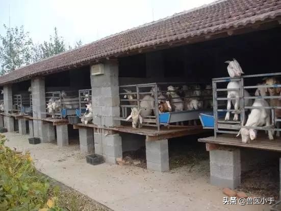 快速致富赚钱项目有哪些,做什么能发财致富好项目