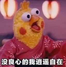 进口猫狗天然粮榜单，这些进口粮不含人工防腐剂，香精，色素