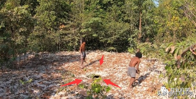 木棍怎么挖出泳池,一根棍子挖出一个游泳池