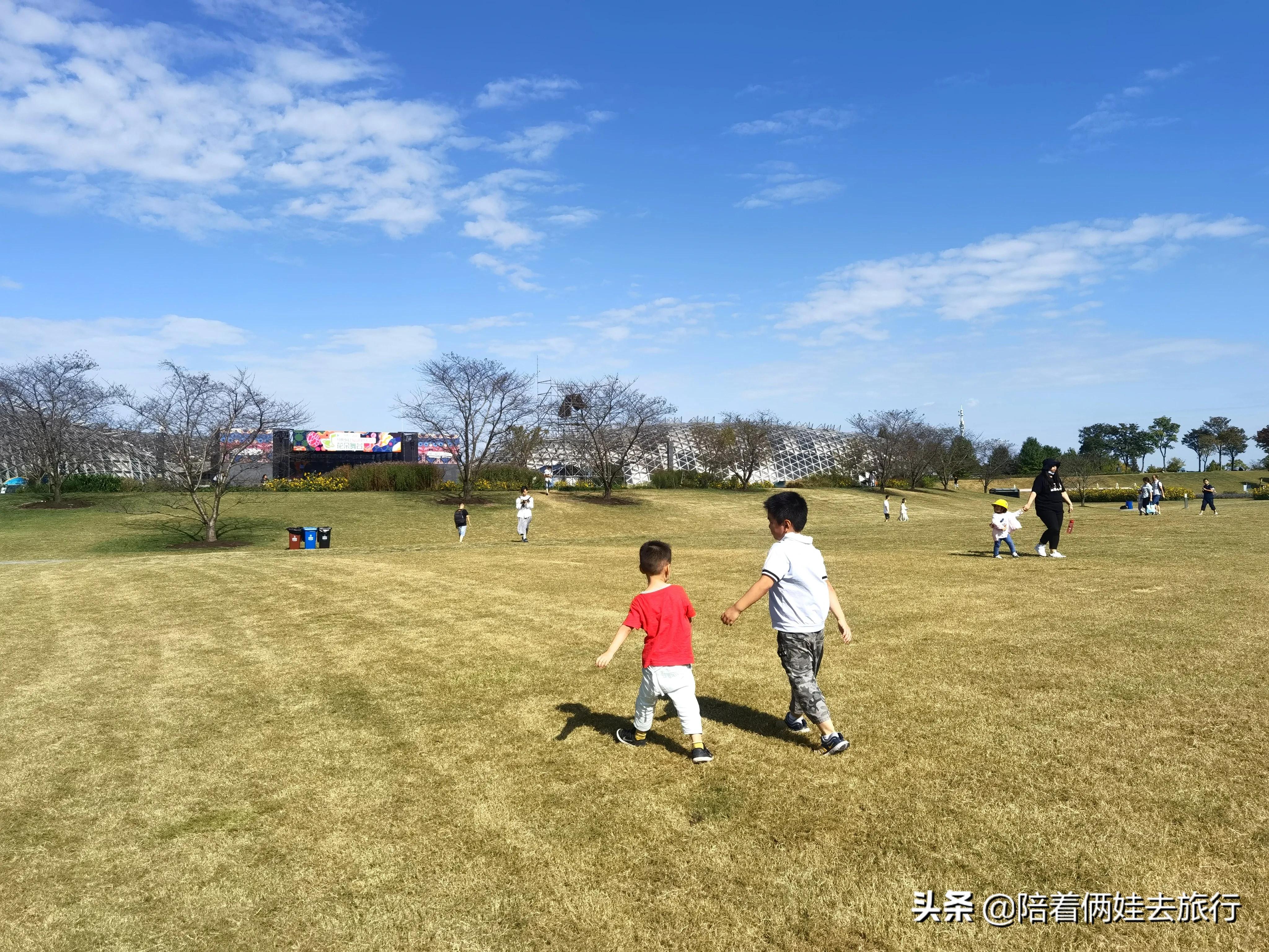 上海辰山植物园矿坑花园,辰山植物园矿坑花园修好了吗
