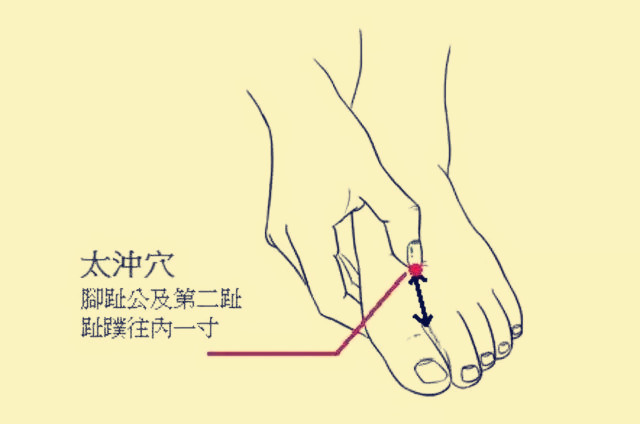 足厥阴肝经郁热化火,足厥阴肝经的主治