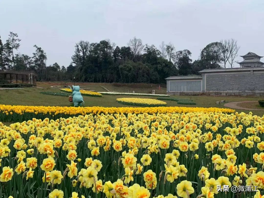石象湖现在开放吗最新消息,石象湖景区什么时候开放