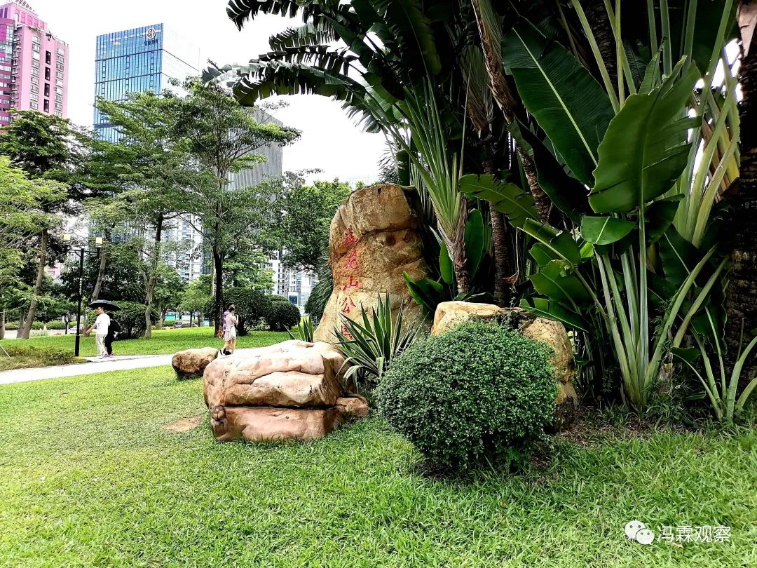 从清茶中飘出来的悠美短文！（文化观察之一O三）