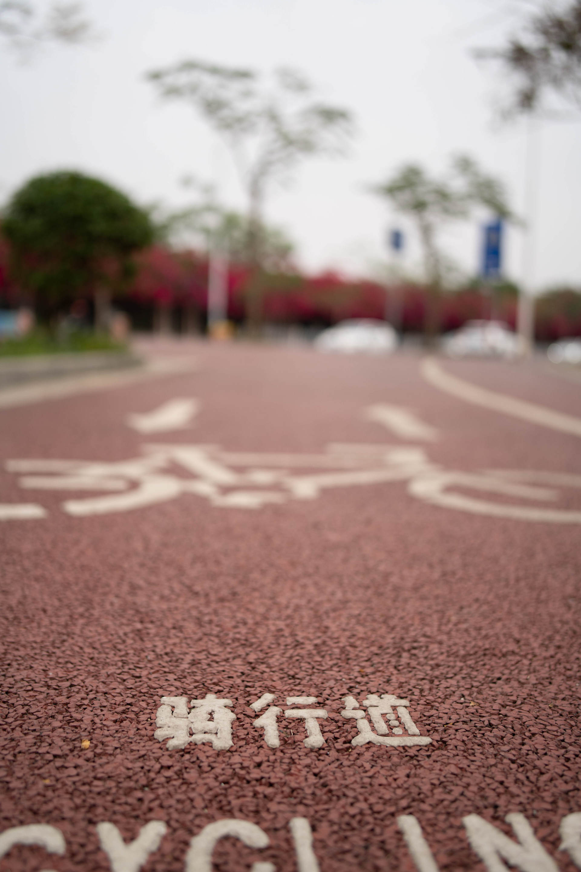 索尼定焦镜头性价比推荐,索尼35mm定焦推荐国产