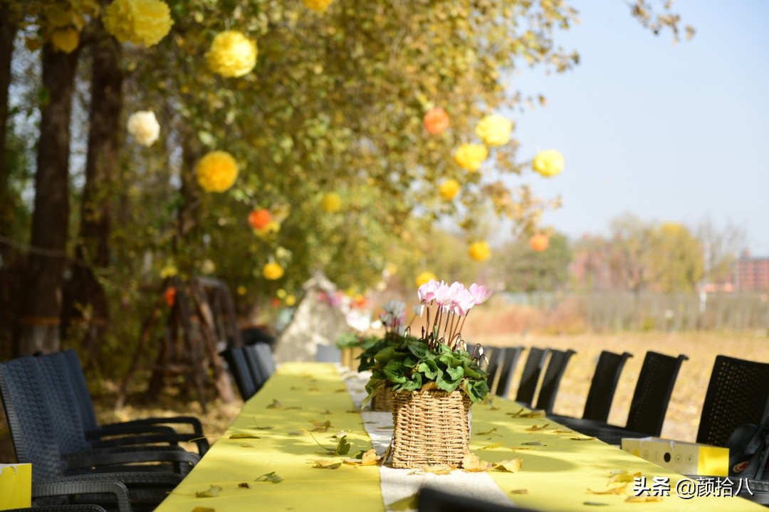 没有比利时花园游,来点比利时啤酒吧|随笔