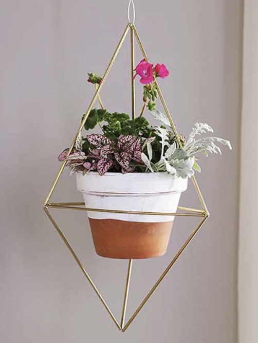 悬挂植物,好看独特的植物装饰