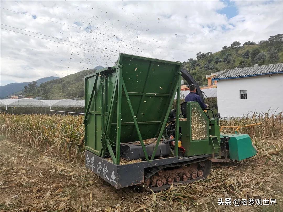 秸秆变废为宝促增收,我为群众办实事捡垃圾美篇