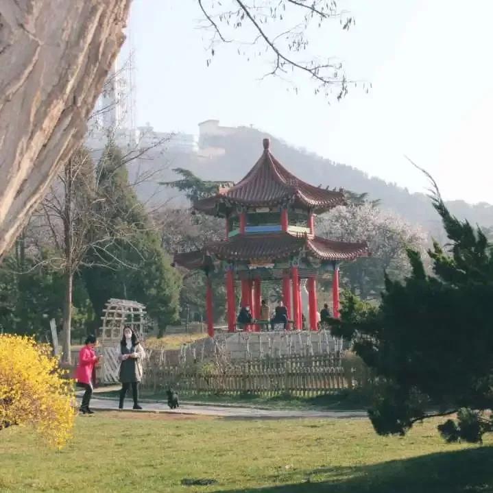 辽宁师范大学辽宁省一流课程,辽宁省普通高等院校