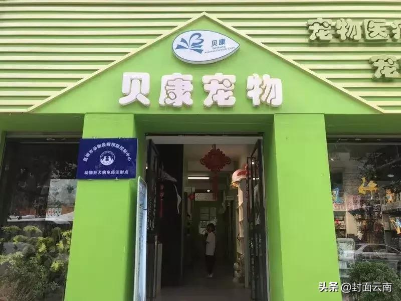 云南省执业兽医考试哪里考,云南执业兽医好考吗