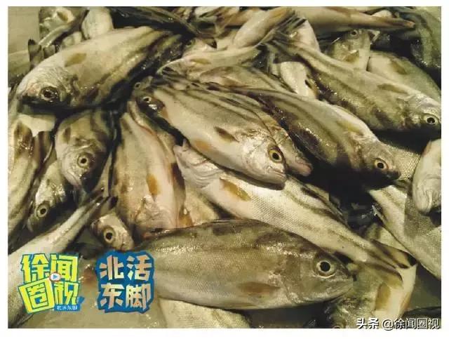 徐闻人的真实生活,徐闻县人风俗习惯