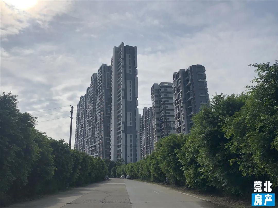 园洲东江府楼盘,惠州园洲东江府房价最新