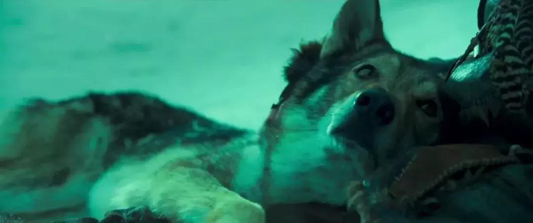 阿尔法｜如果文明是卑躬屈膝，我会让你看到野蛮的骄傲