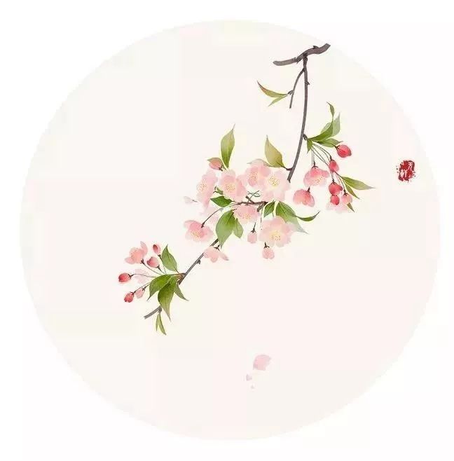 你的名字藏着最美诗句,你的名字里藏着最美的诗词