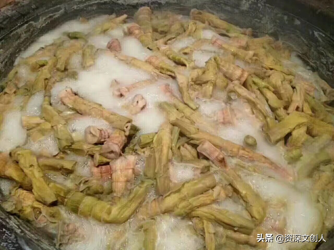 奉化特产羊尾笋,奉化羊尾笋怎么烤