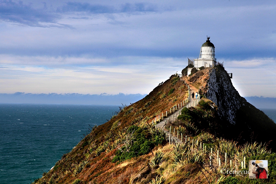 新西兰有哪些景观,新西兰风景最好的地方在哪里