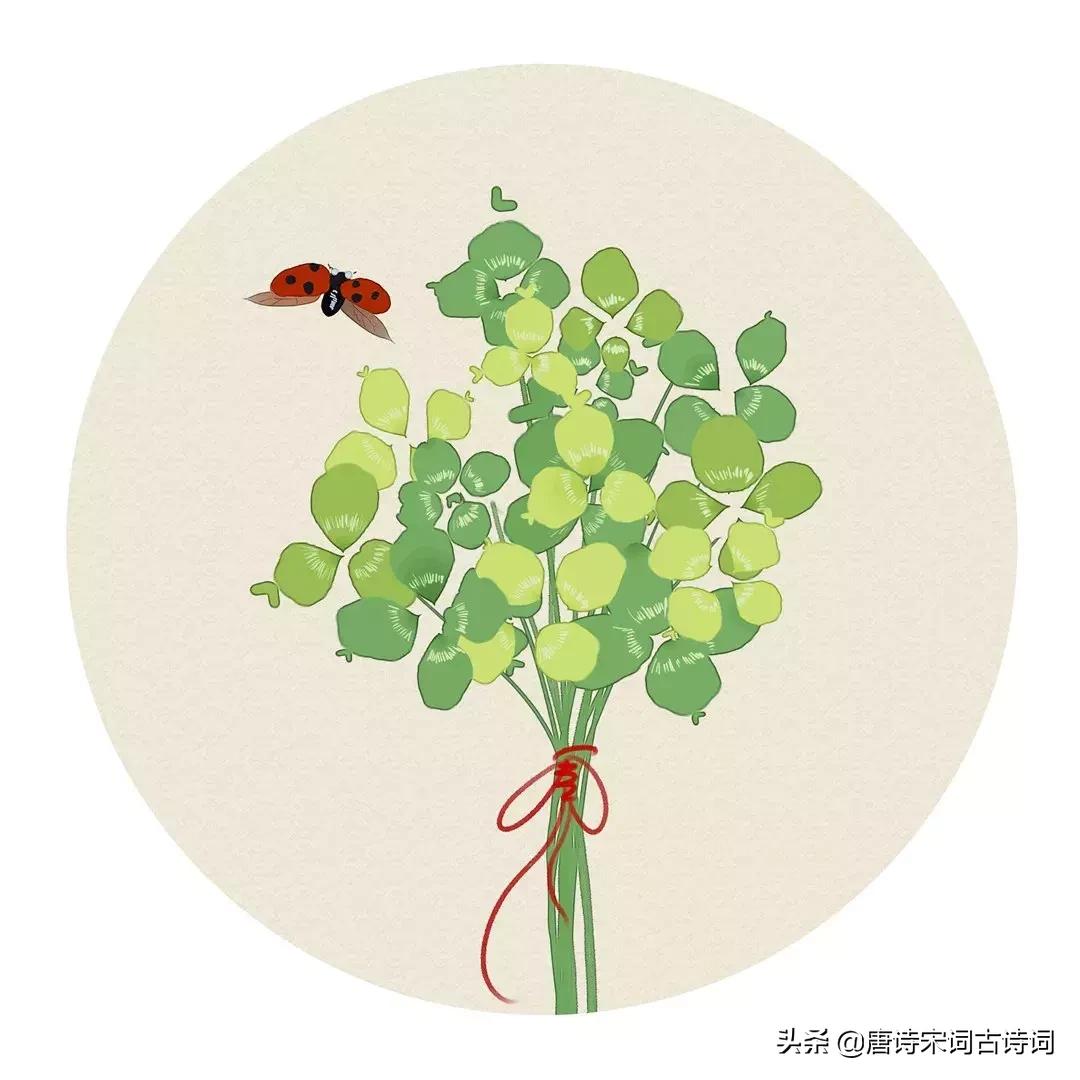 100首关于夏天的唯美古诗词,100首夏日古诗词