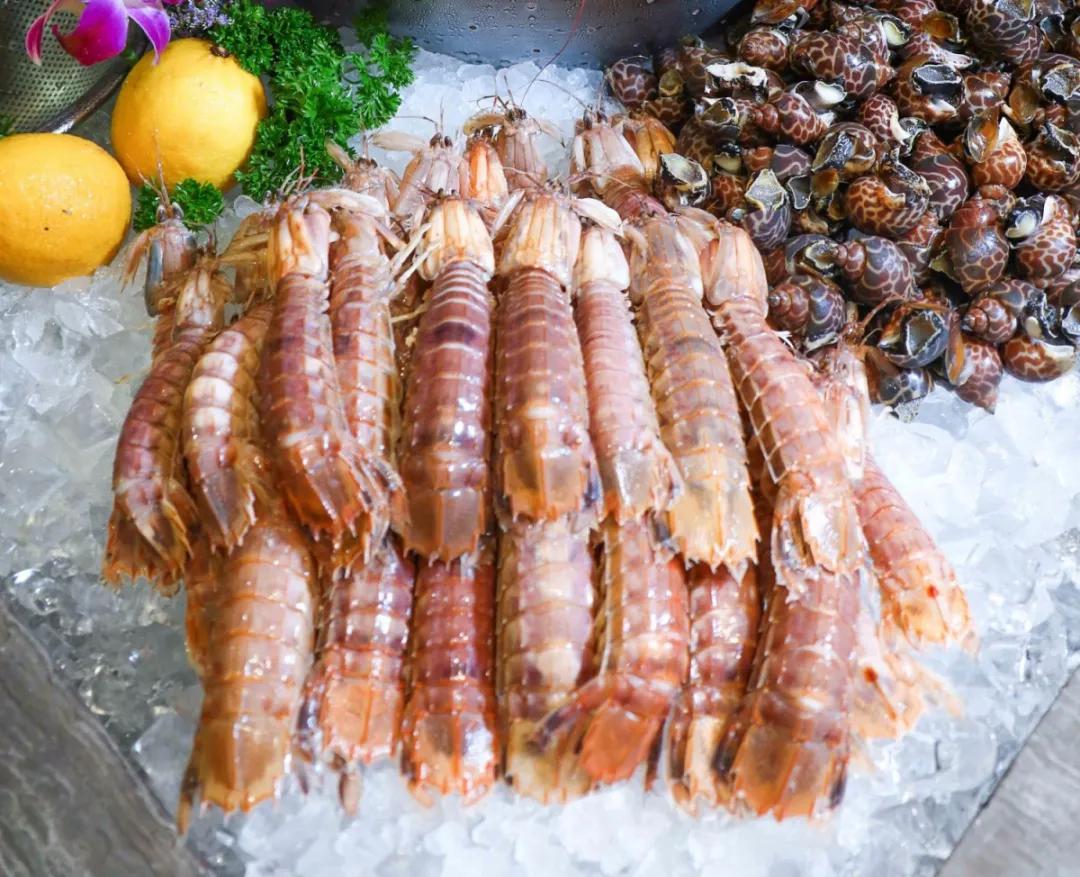 蹇呭悆鐢熻殱鑷姪鎺ㄨ崘,骞夸笢鐢熻殱鍒鸿韩鑷姪