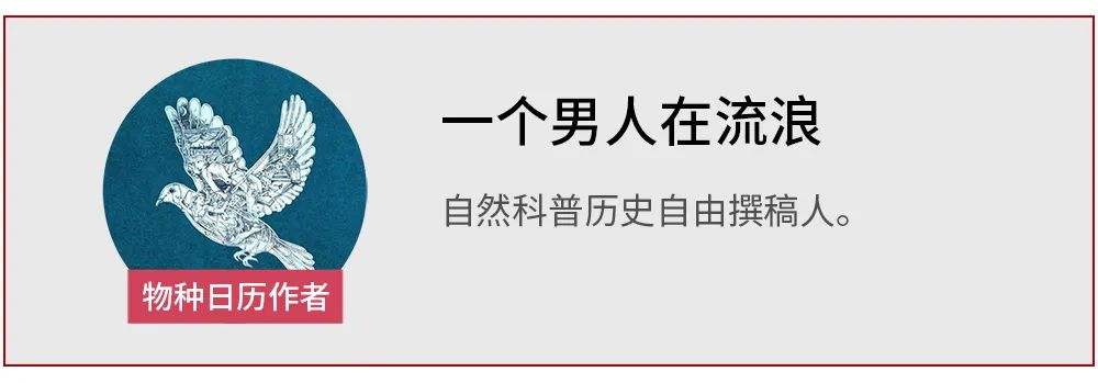 认识了这种犀牛200年，我们还不知道它吃什么