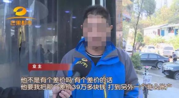 千年老树开新花,千年老树开红花