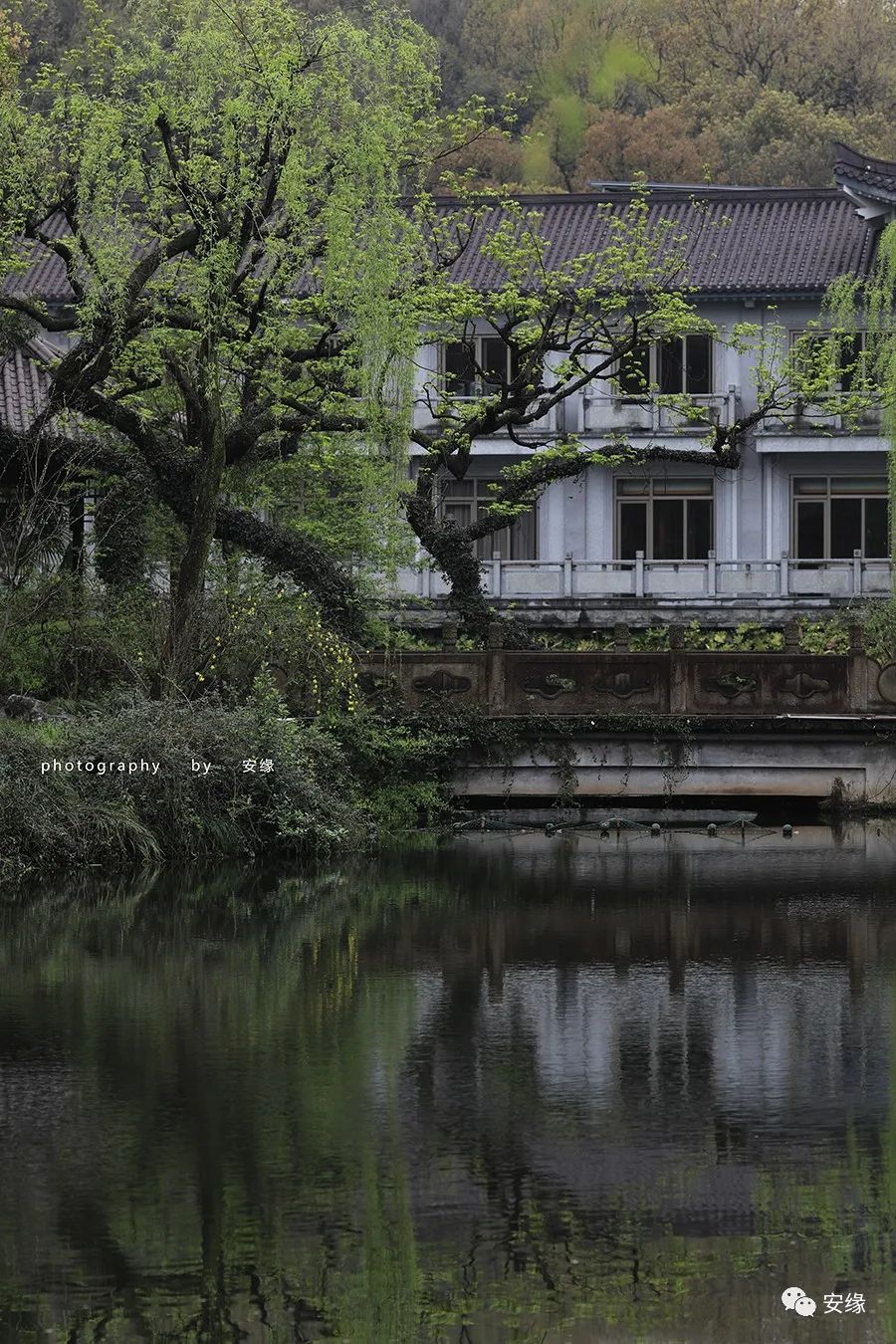 深扒：西湖中的西湖；多国元首下榻的540亩国宾馆的神秘面纱