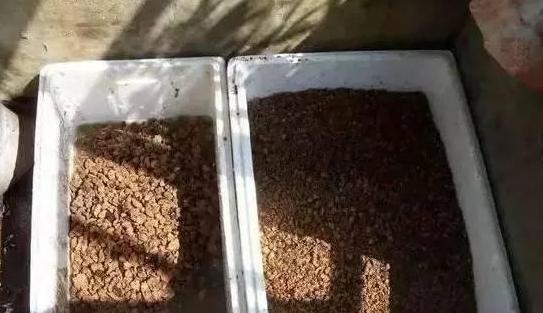 通用营养土养花专用土,蜂窝煤养花怎么处理视频