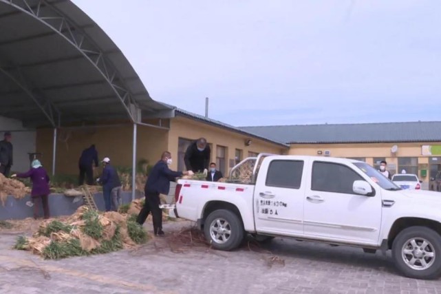 葱农年前囤的葱快烂了,如何是好?