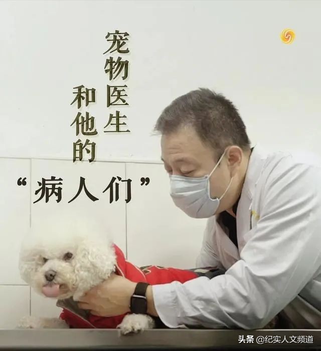 “大夫，我把房卖了，你能治好我的猫吗？”