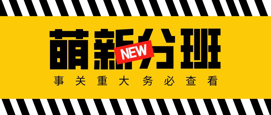 小学一年级一般怎么分班,小学一年级学校一般是如何分班的